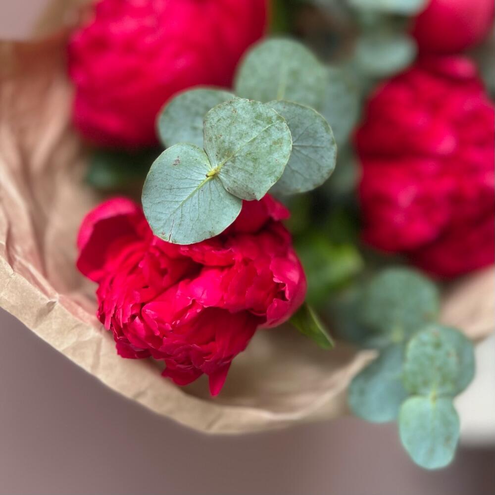 Букет из пионов «Мэри» (пионы, эвкалипт)